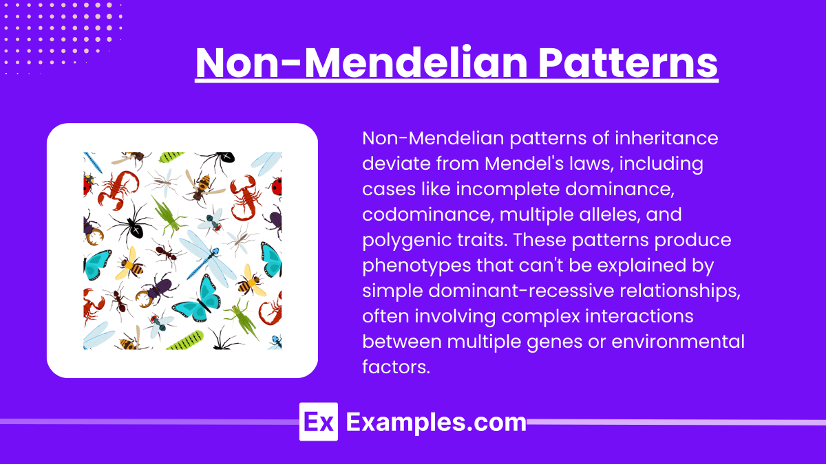 Mendelian (Notes & Practice Questions) MCAT Examples