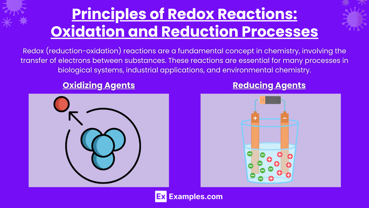 Electrochemistry (Notes & Practice Questions) MCAT Examples
