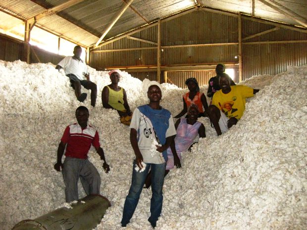 Acumen Fund CoInvests 2.2 Million in Ugandan Cotton Ginnery