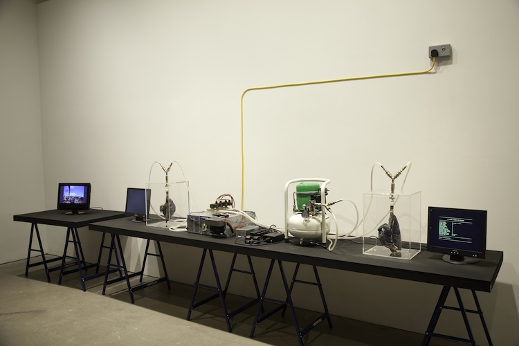 Interactive Art Shows the Fun Side of Computer Science Co.Design