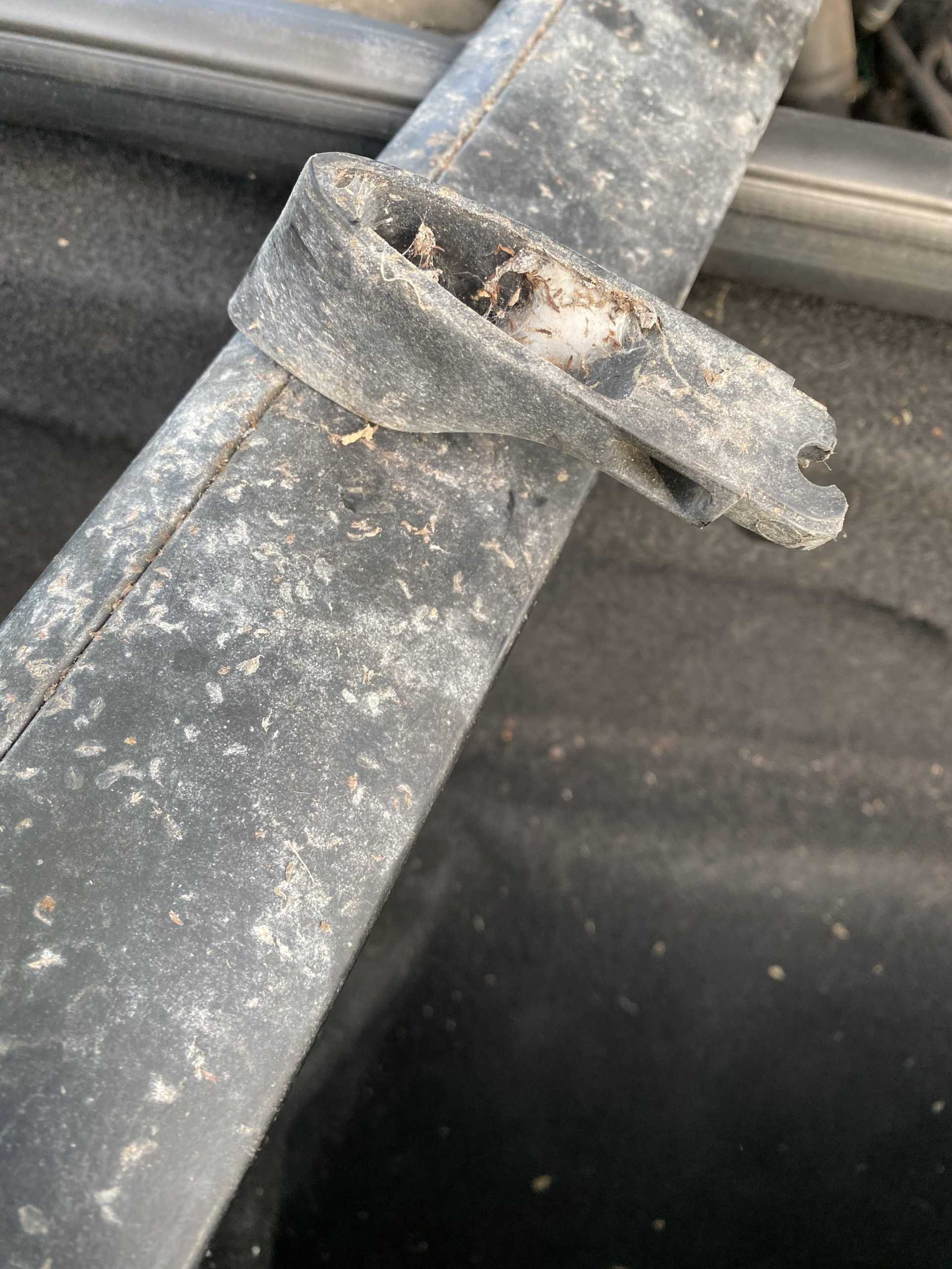 Looking for the vertical slats for luggage rack wing on a 1984