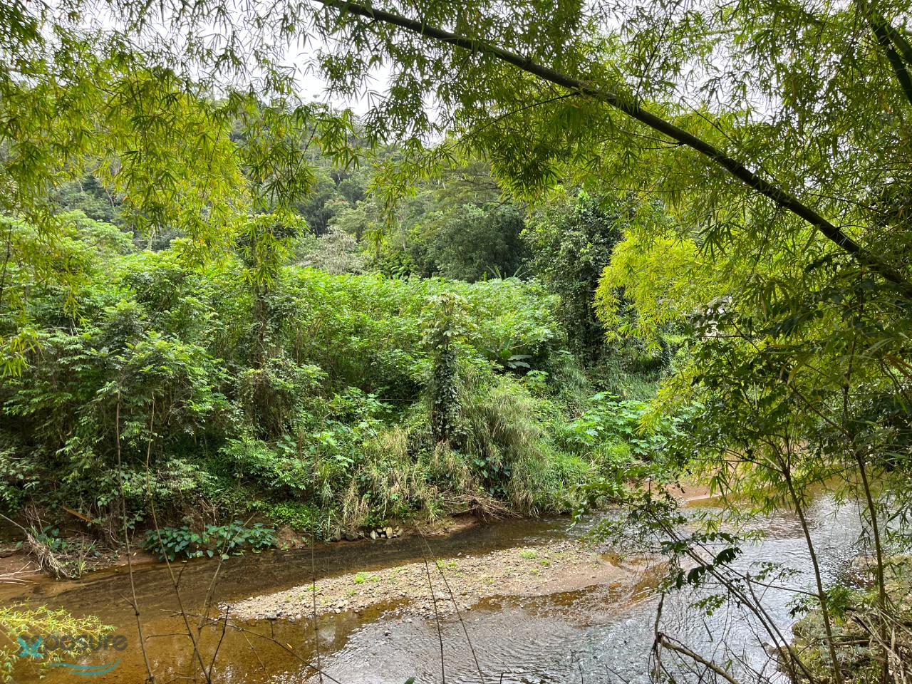 PR Sr. 568 Farm , Palmarito (barrio), Corozal, PR 00783 Findit