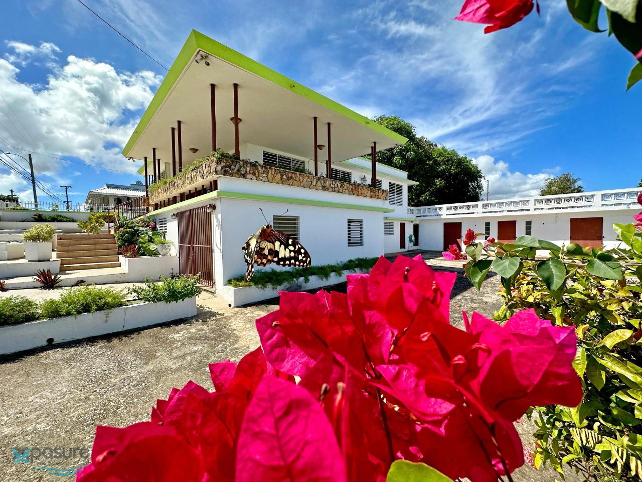 Avenida Agustín Ramos, Isabela, Bejucos (barrio), Isabela, PR 00662