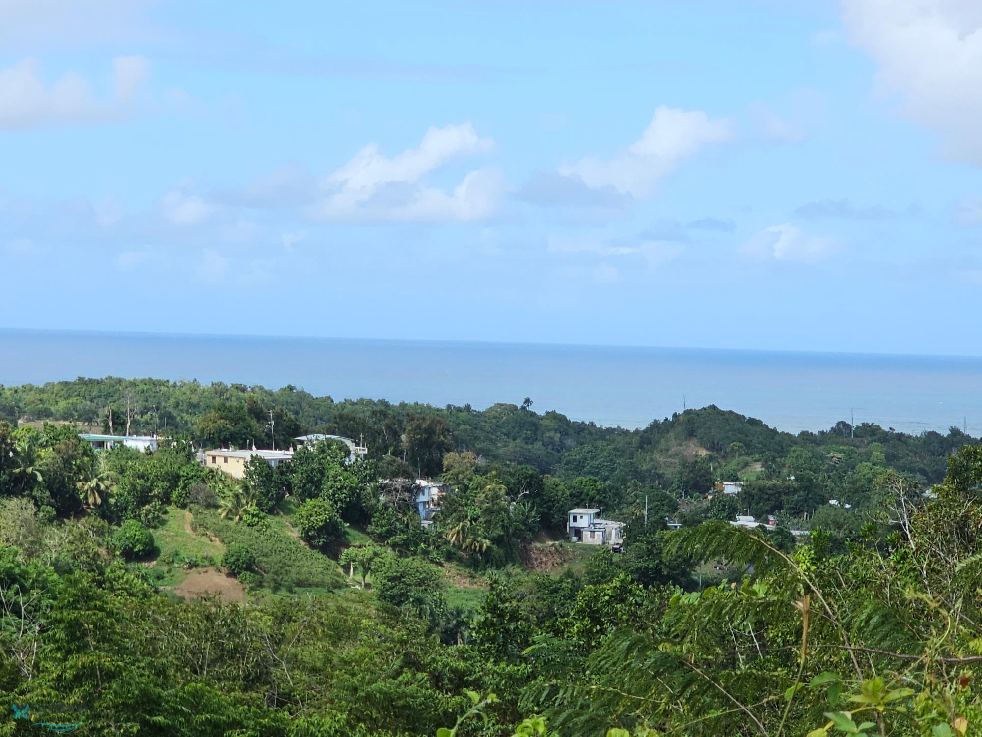 Marazul Oceanfront Condos, PR 115, Aguada, Aguada, PR 0062 Findit