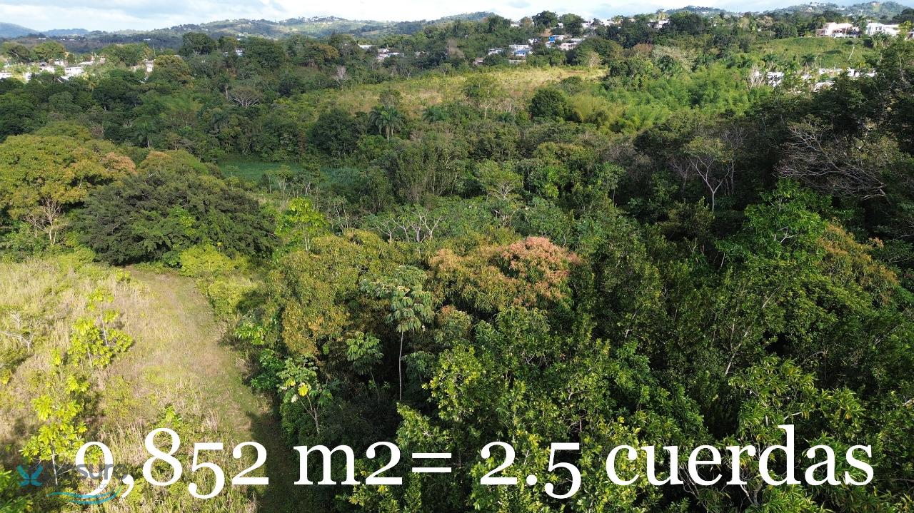 Mayaguez, PR Bienes Raíces propiedades en venta Findit