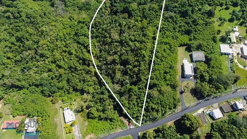 Camuy, PR Bienes Raíces terrenos en venta Findit