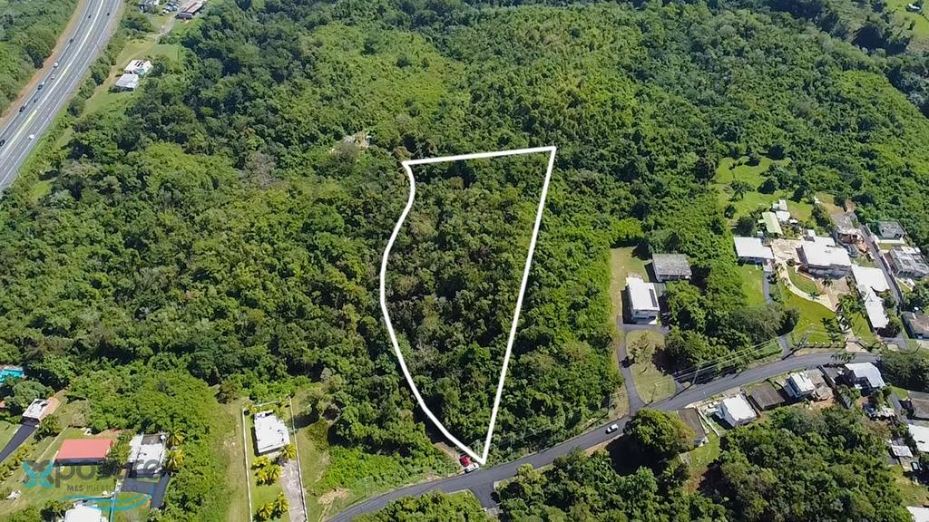 Finca De 3.00 Cds Frente A La Calle Principal, Bo Puente Zarza En Camuy, Puente (barrio), Camuy