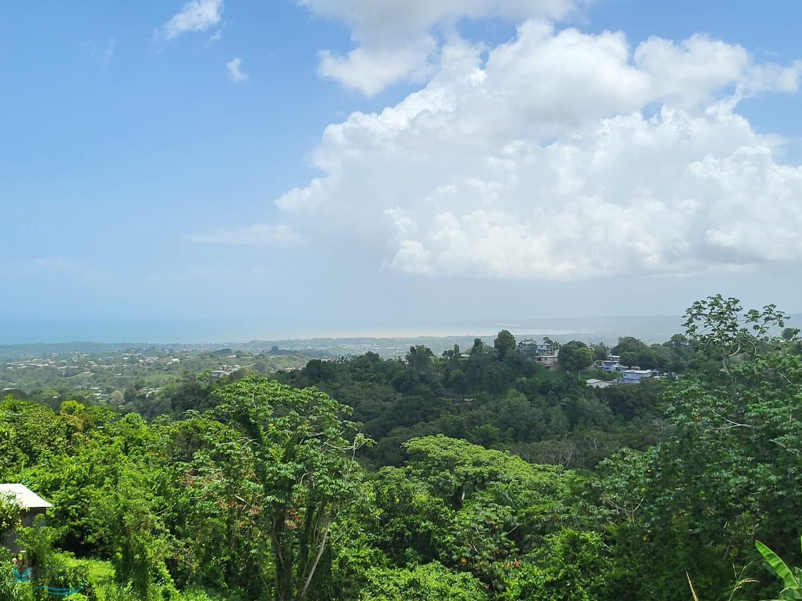 Aguada, PR Bienes Raíces propiedades en venta Findit