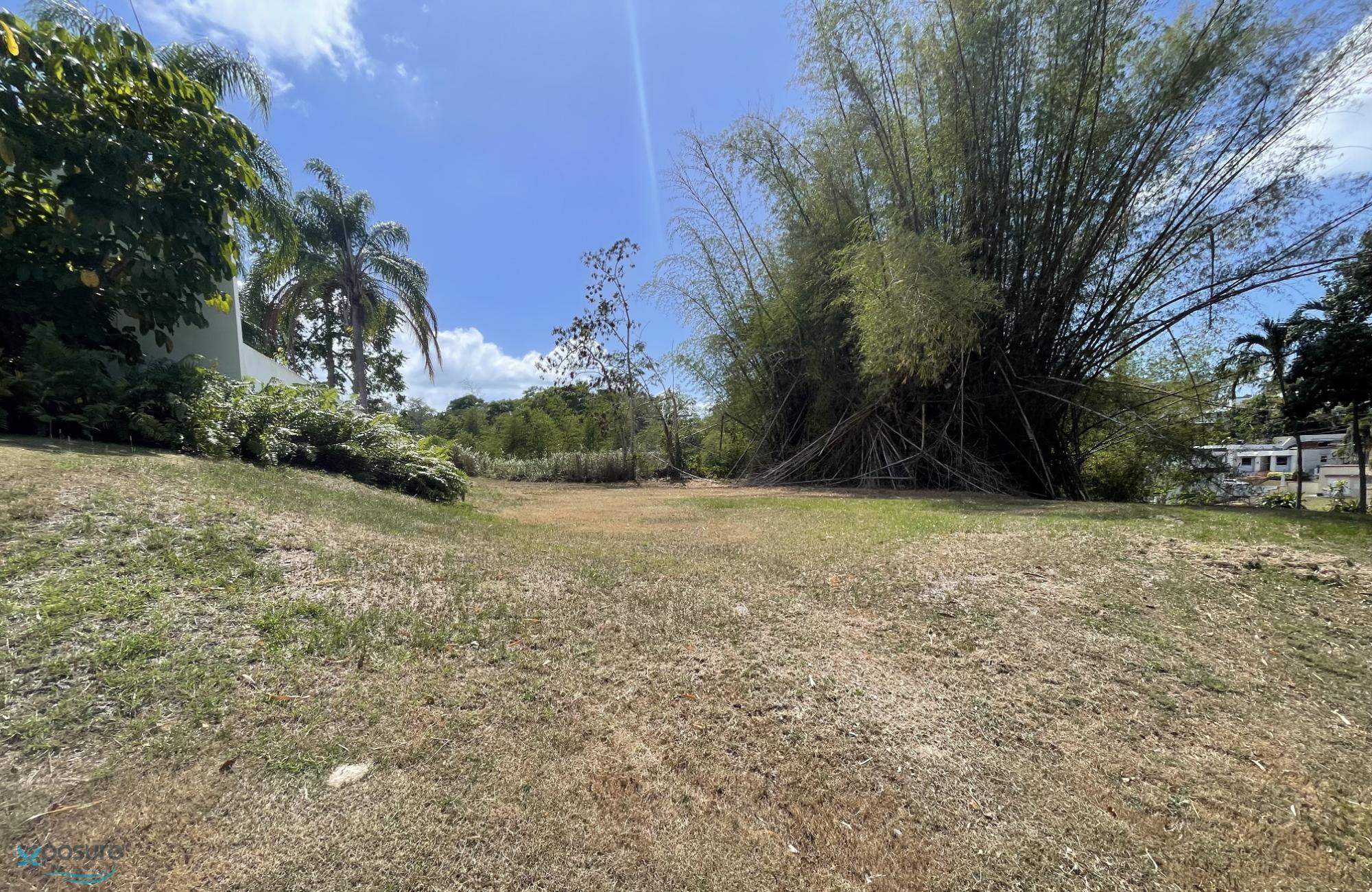 Mayaguez, PR Bienes Raíces propiedades en venta Findit