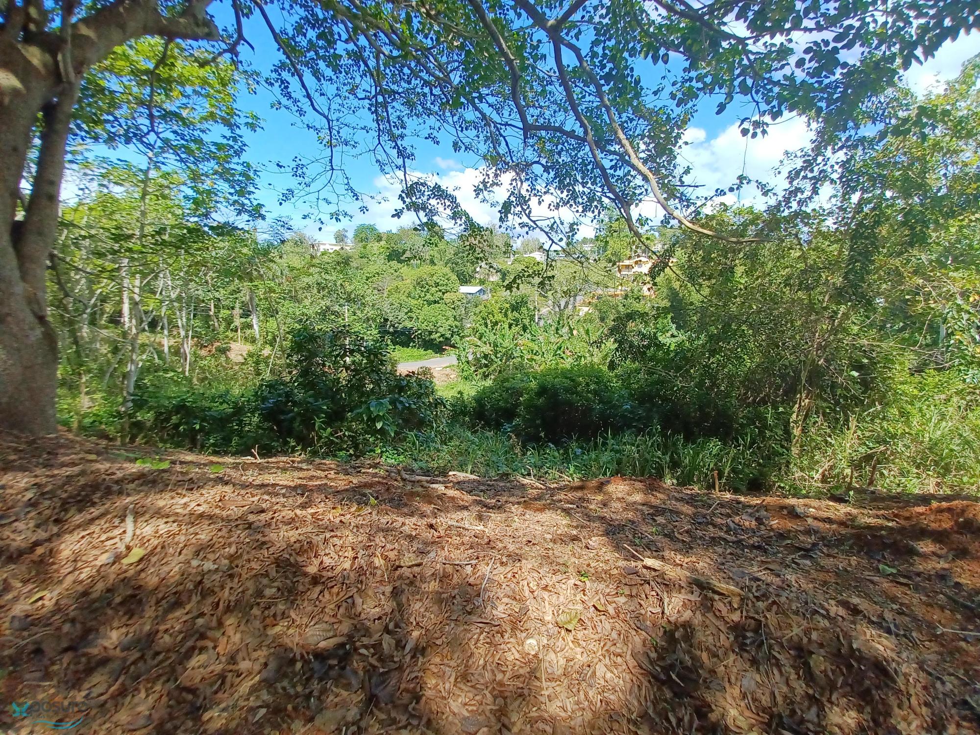 Mayaguez, PR Bienes Raíces propiedades en venta Findit