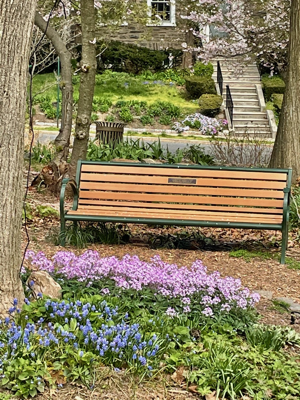 Garden bench fronted by pink flowers