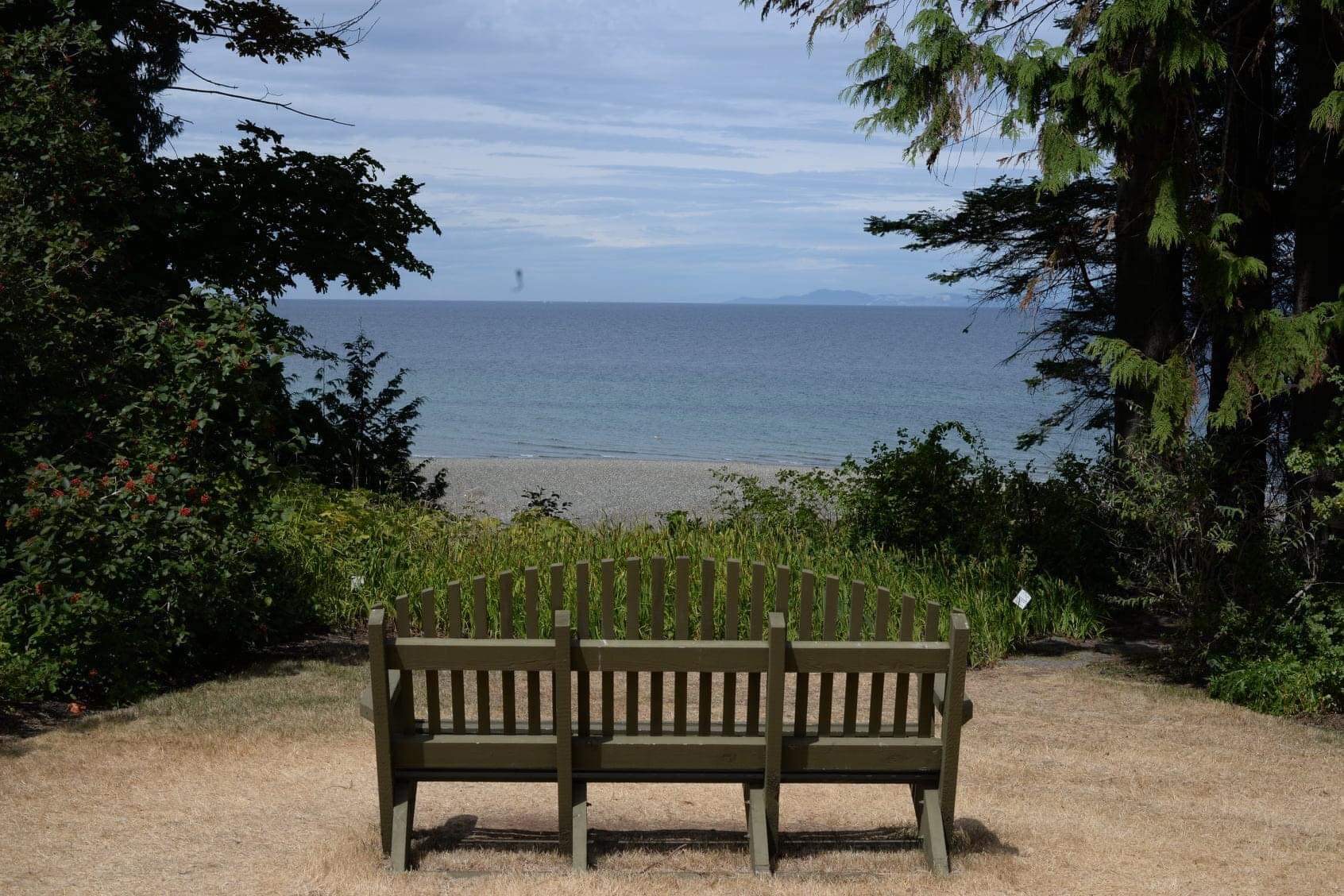 garden bench looking out on the ocean