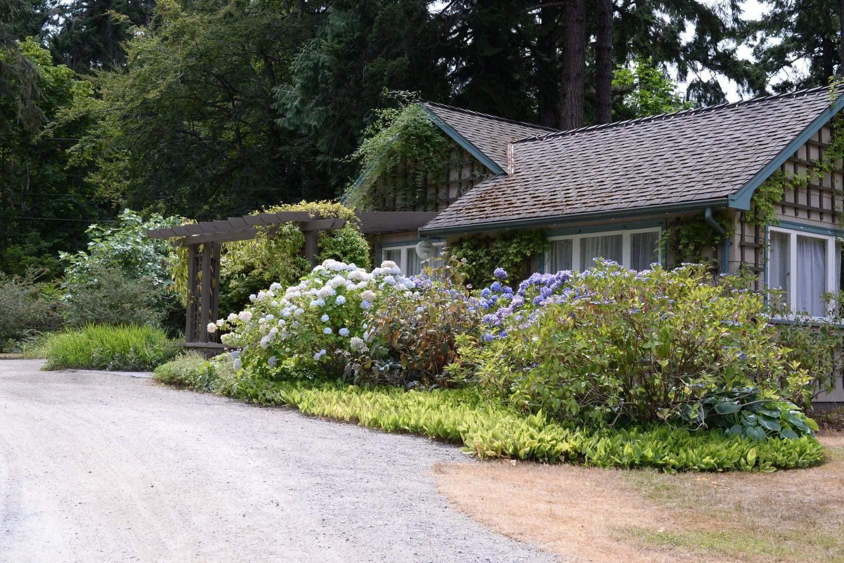 building with lots of hydrangeas in front