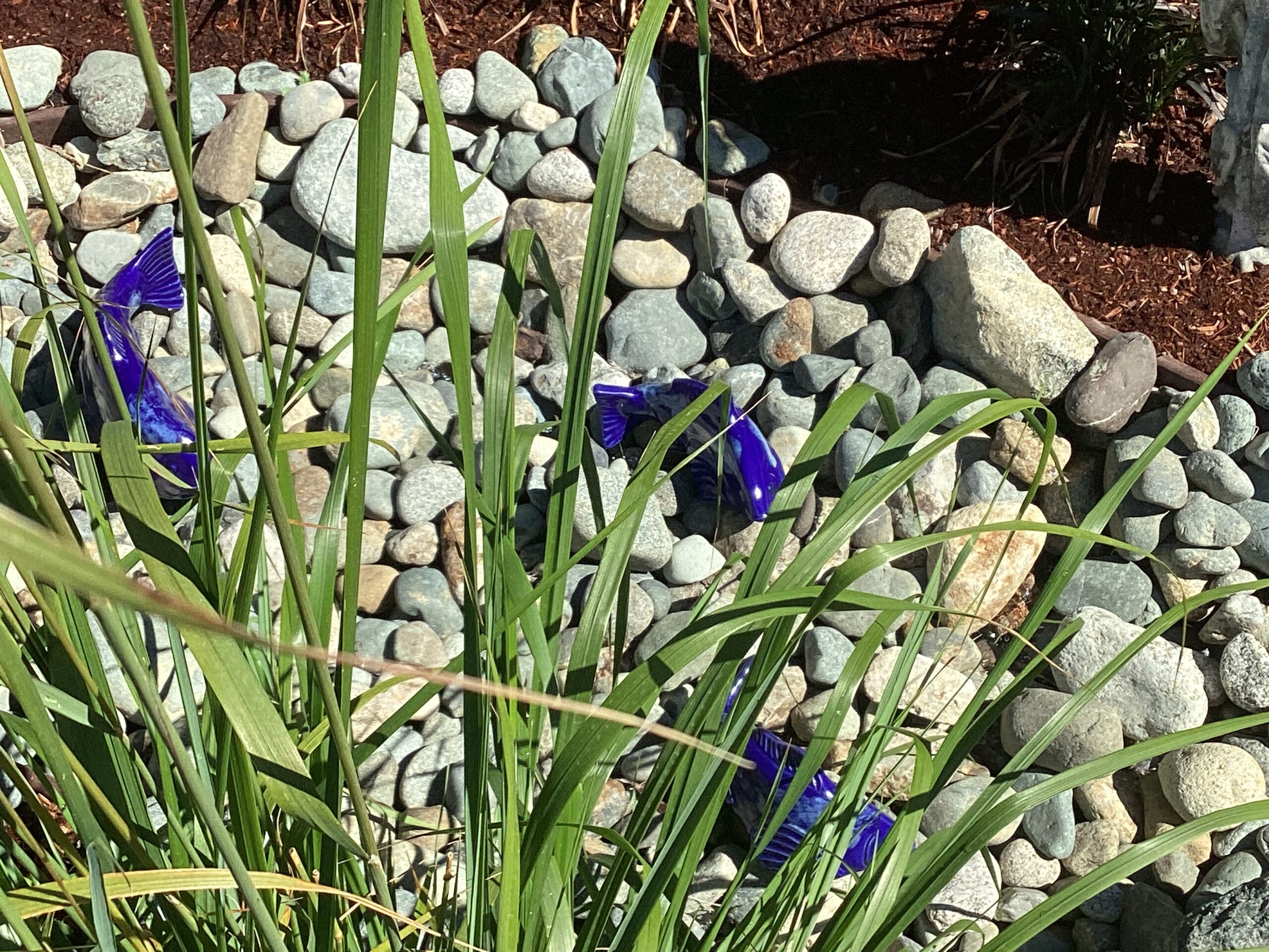 close up of blue ceramic fish on small stones