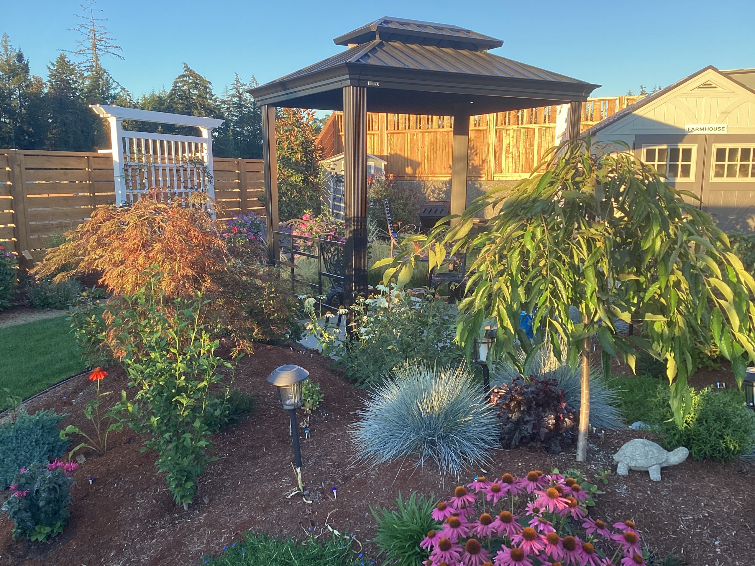 garden gazebo with immature trees and shrubs around