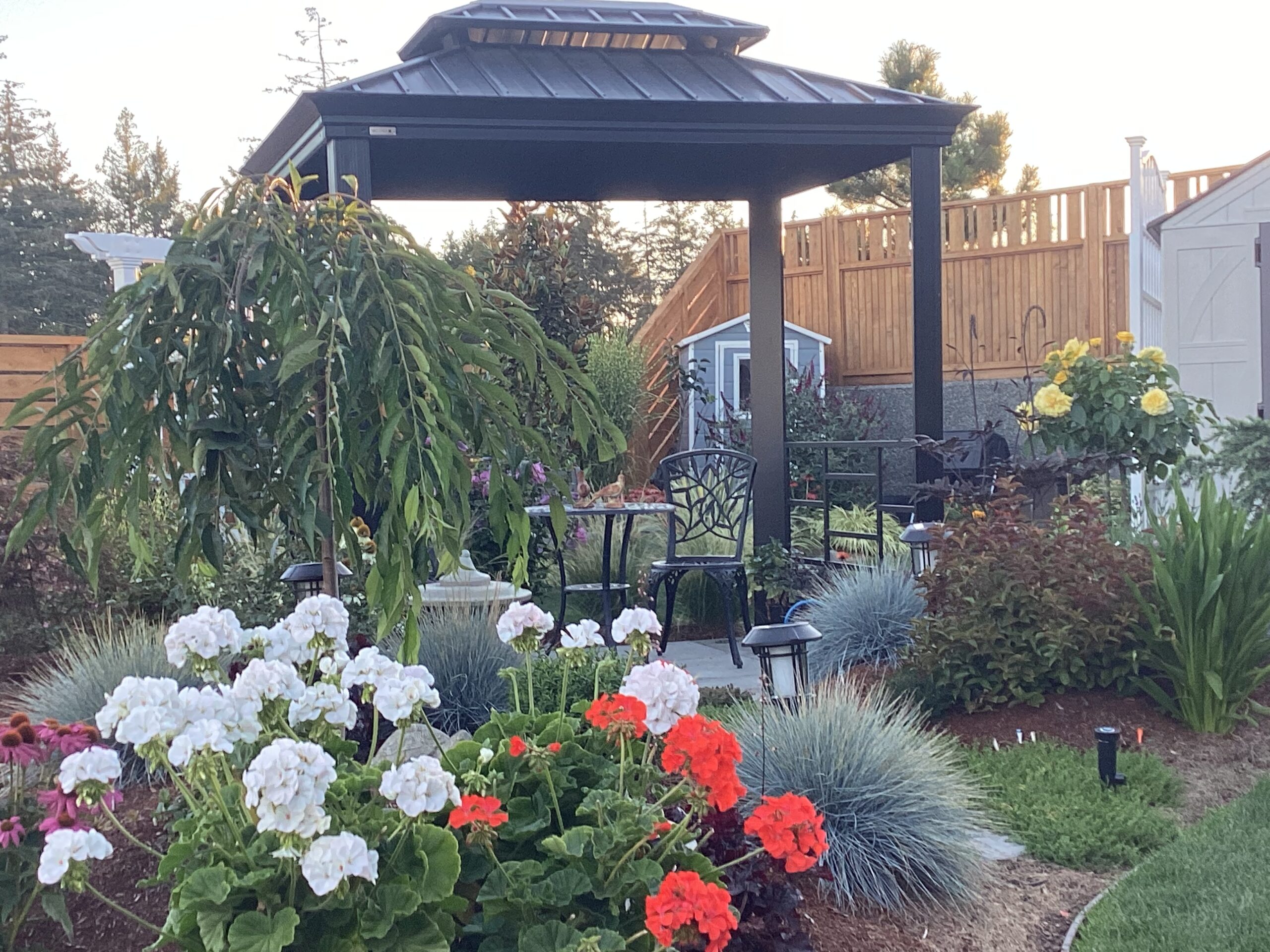 gazebo with white and red geraniums in the foreground