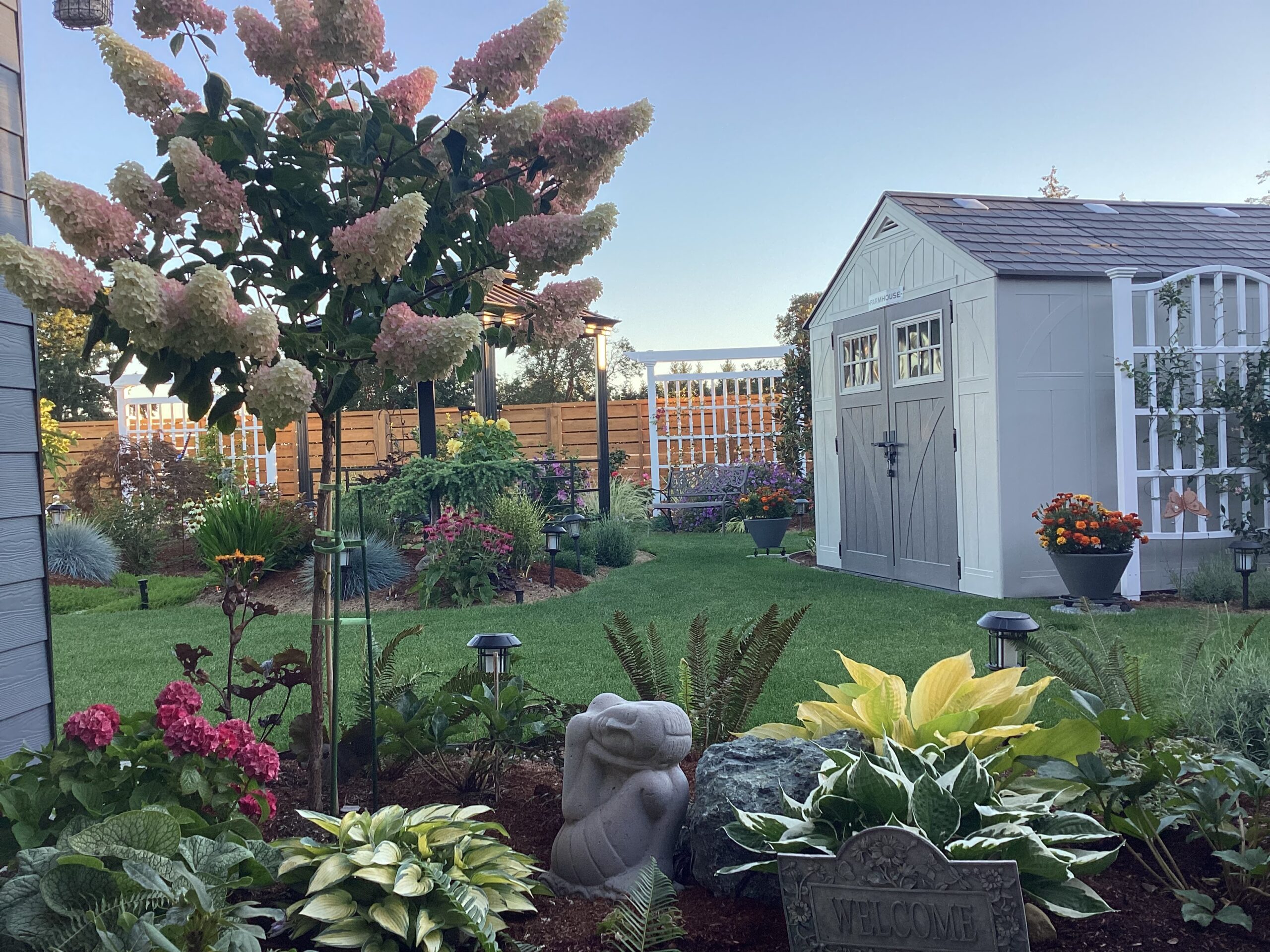 wide view of the new garden with a garden shed