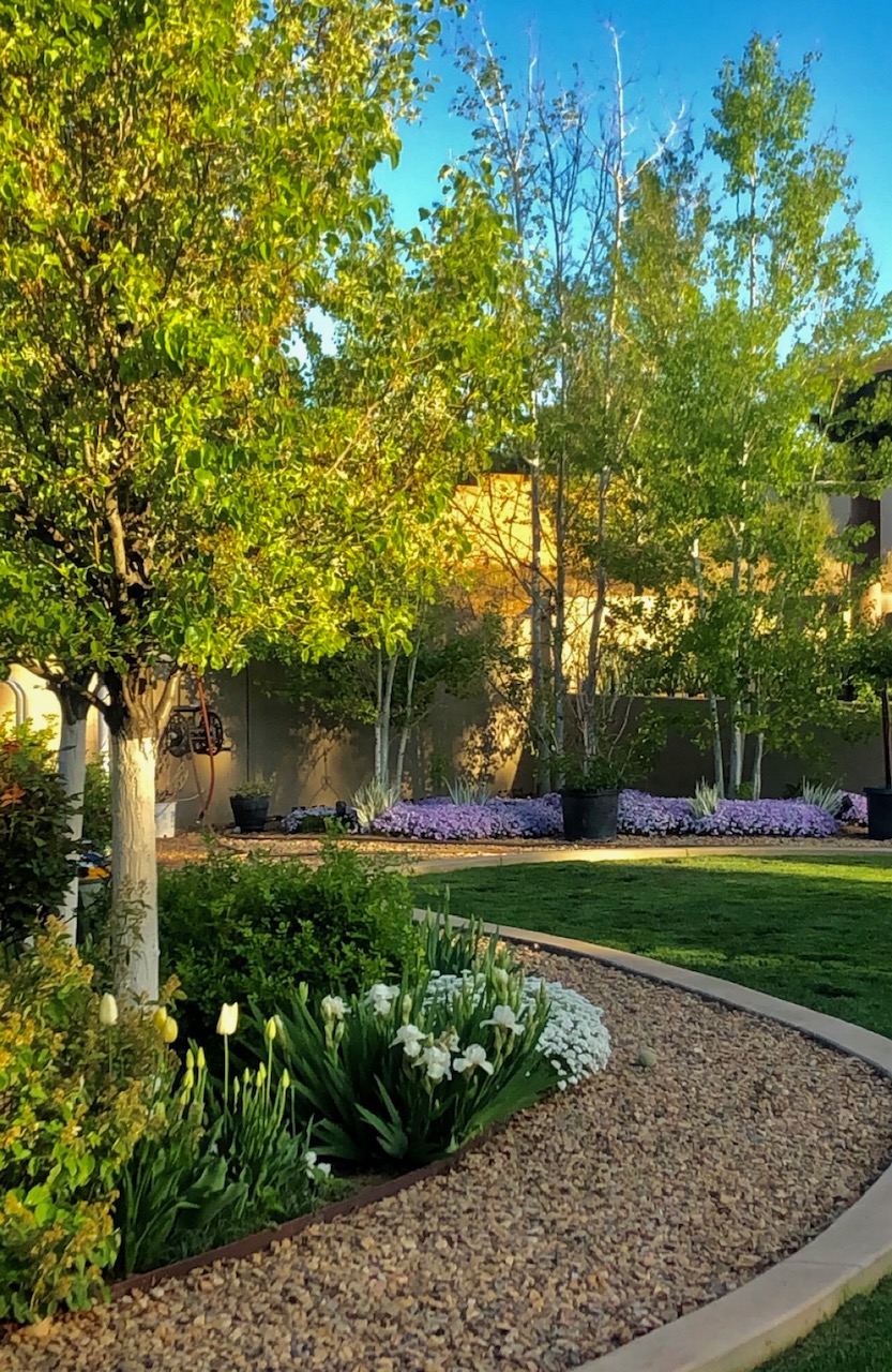 garden in spring with white and purple flowers