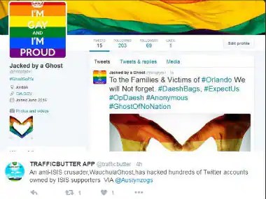 'Ghost' hacker takes IS Twitter accounts by storm, floods them with