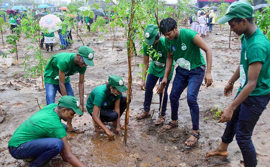 Vanamahotsav 201617 Maharashtra starts green drive with two crore
