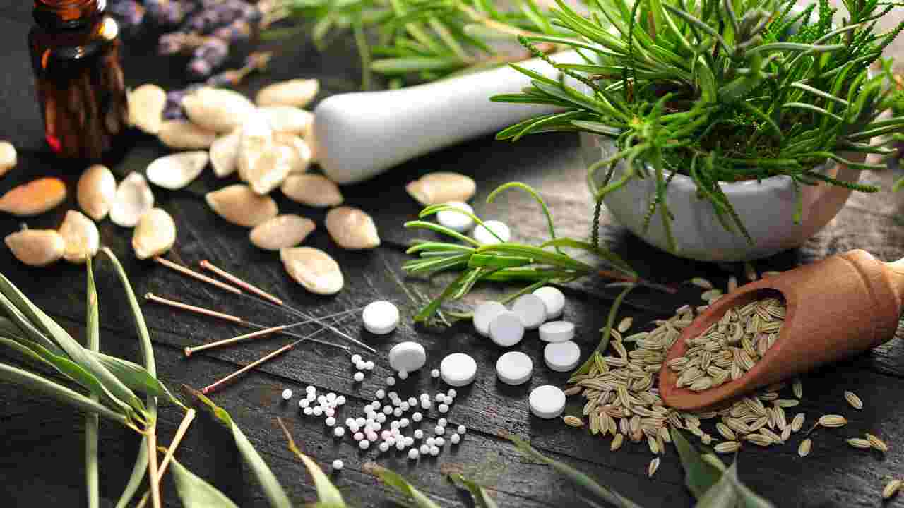 Mauritian medicinal herbs halt cancer cell growth in promising new