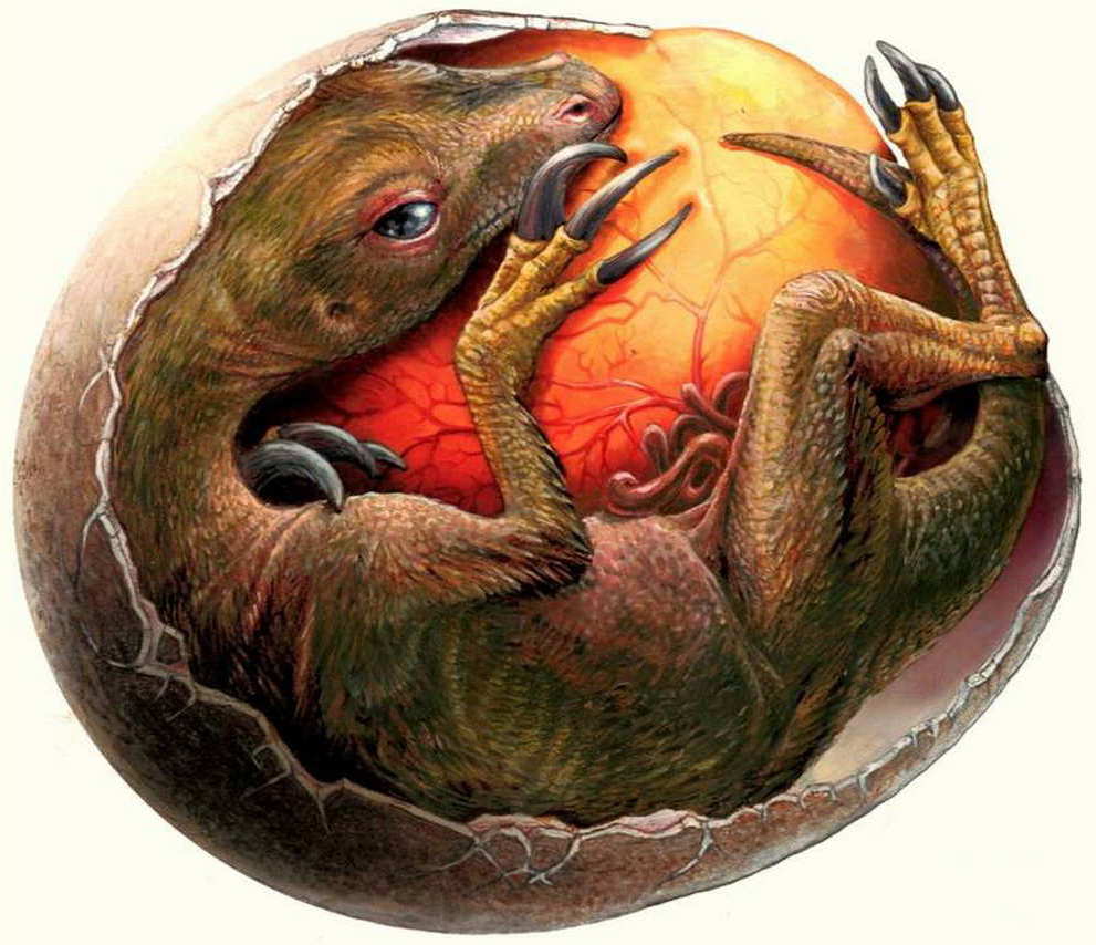 Fifteen fossilized dinosaur eggs provide clues on prehistoric parenting