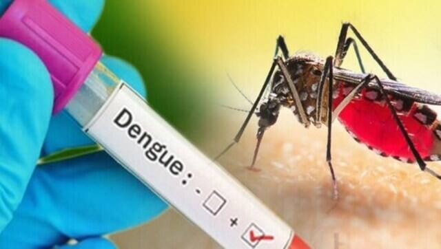 What to eat and avoid while battling dengue fever