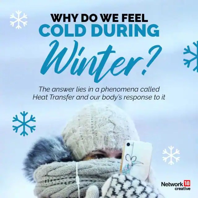 In Graphics The science of feeling cold during winter, explained