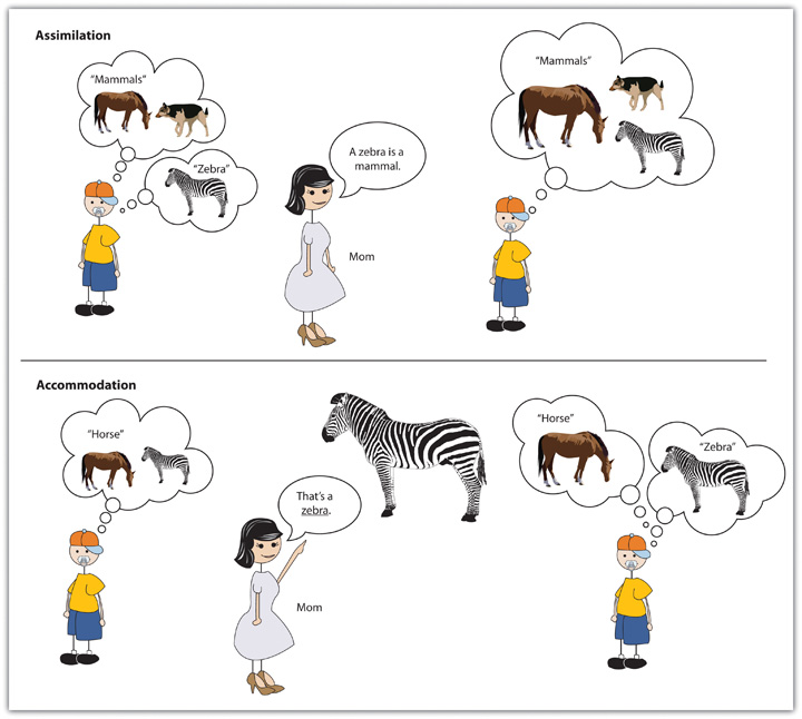 Cognitive Development kidzdw