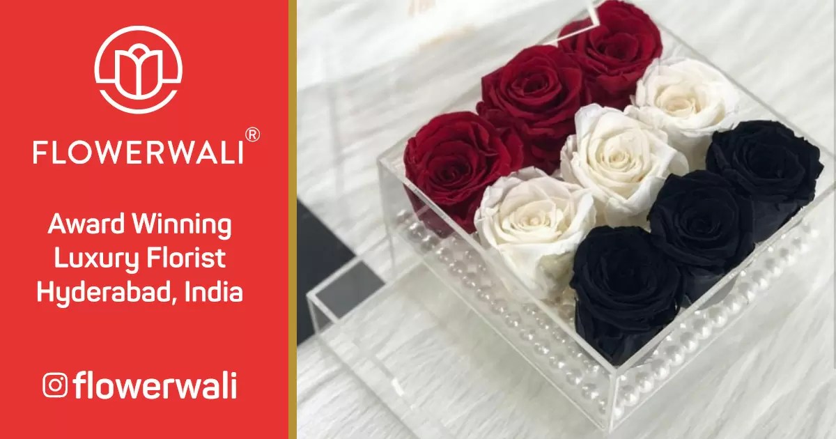Rare Black Roses FlowerWali