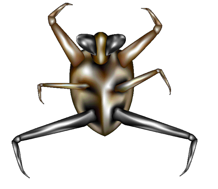 Gif of the Week Snug as a Bug in a Rug F Newsmagazine