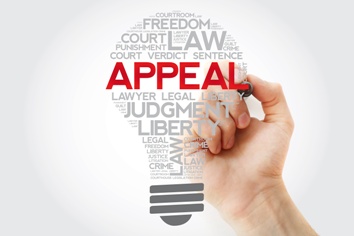 Criminal Appeals in Virginia | Greenspun Shapiro Ginsberg & Yang PC