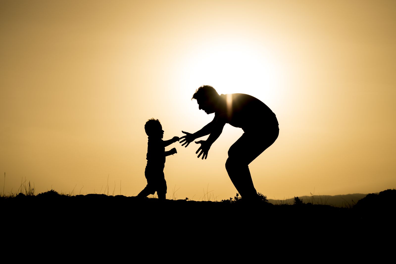 Central Michigan Fathers' Rights Attorneys Barberi Law Firm