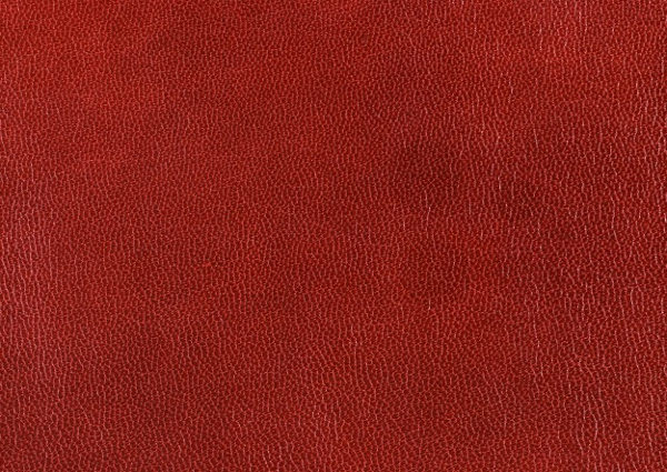 FREE 14+ Red Leather Texture Designs in PSD Vector EPS