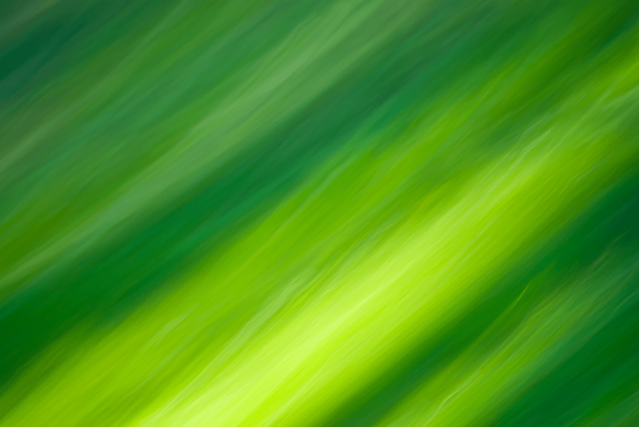 FREE 21+ Green Texture Designs in PSD Vector EPS