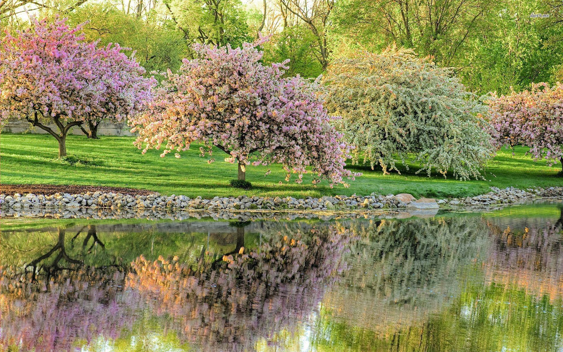 FREE 19+ Spring Nature Wallpapers in PSD Vector EPS