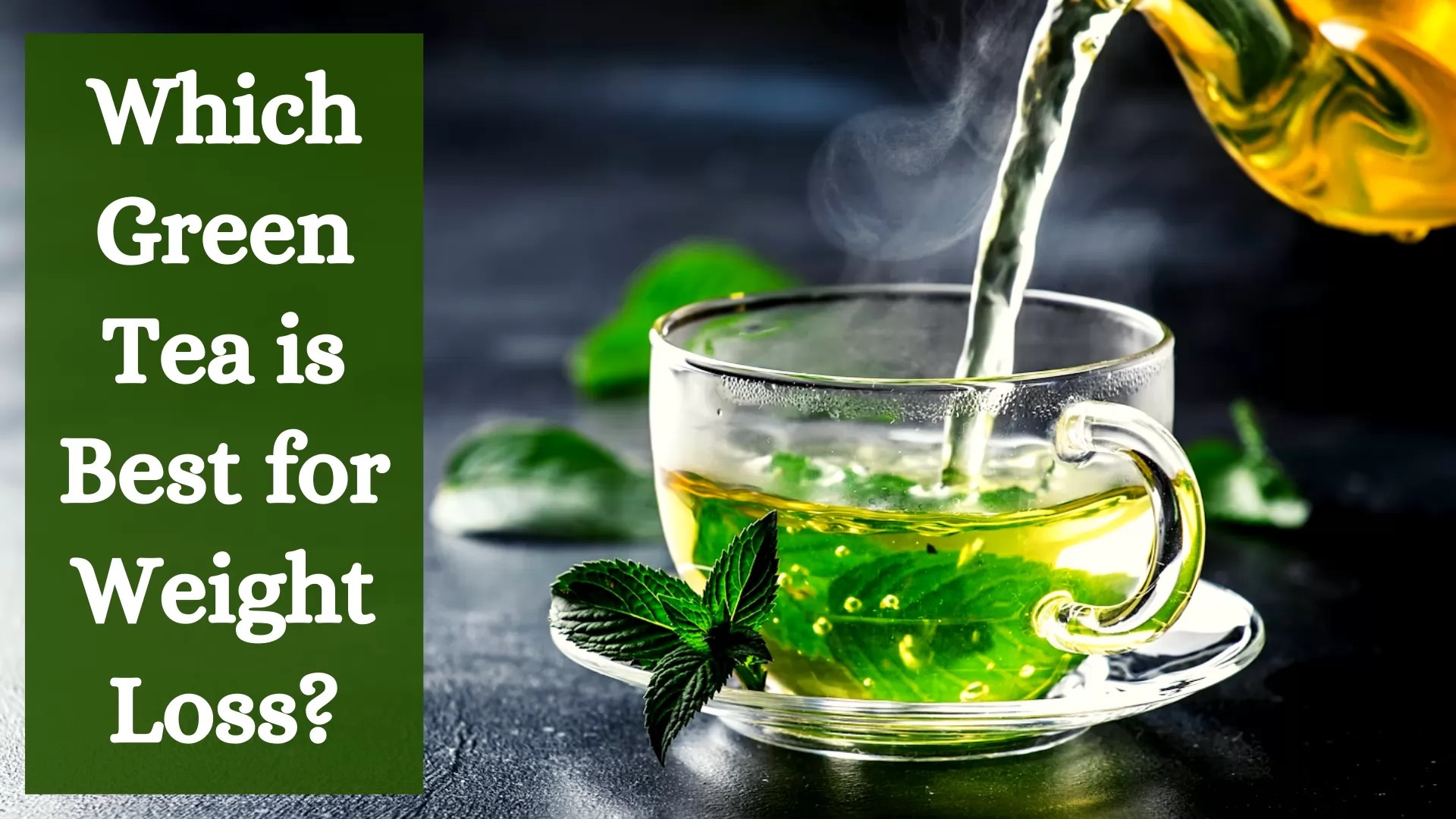 Which Green Tea is Best for Weight Loss 15 Worth Trying Green Tea