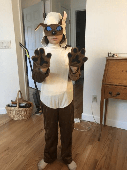 Siamese Cat Costume for Kids Kid's Cat Halloween Costumes