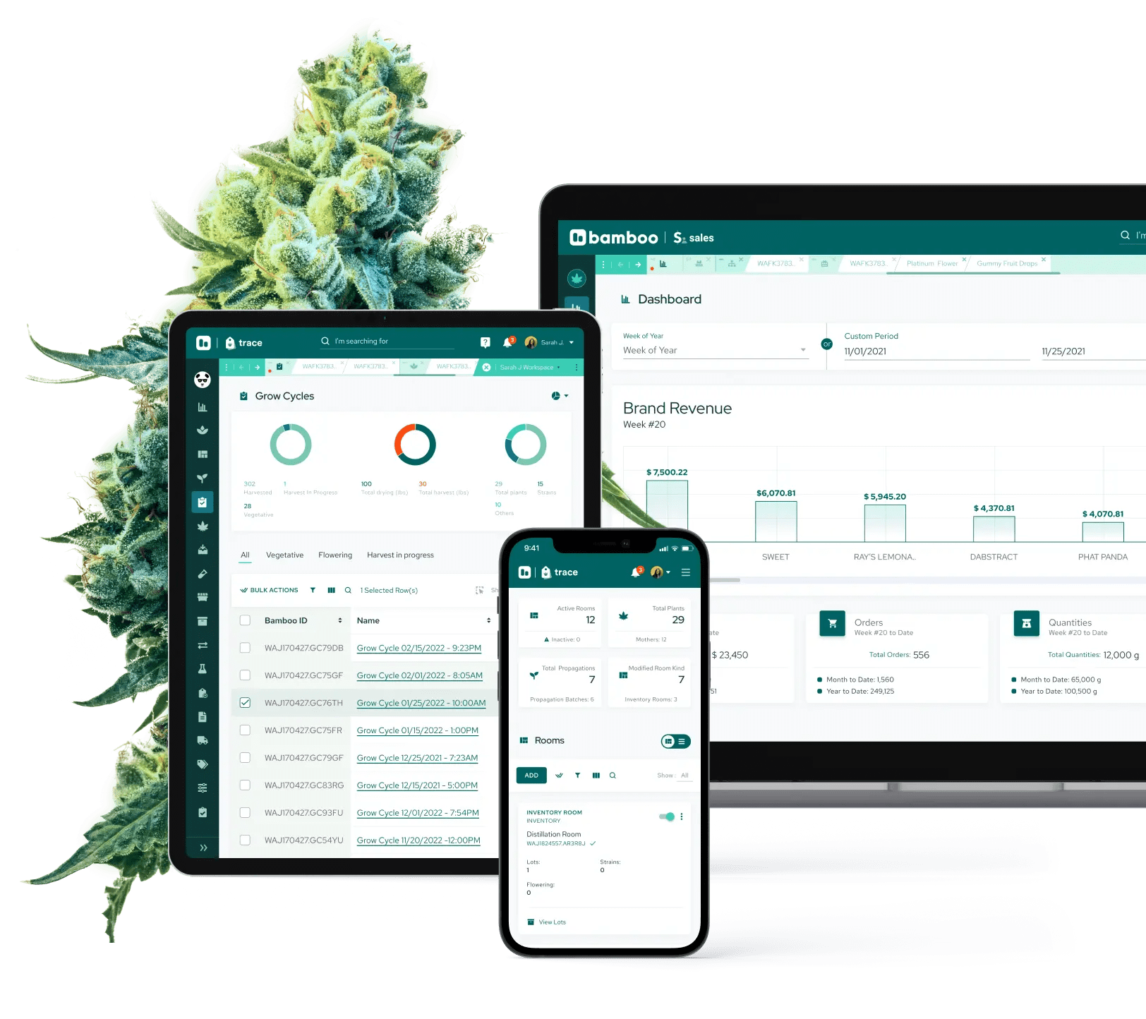 Bamboo Reviews 2024 Details, Pricing, & Features G2