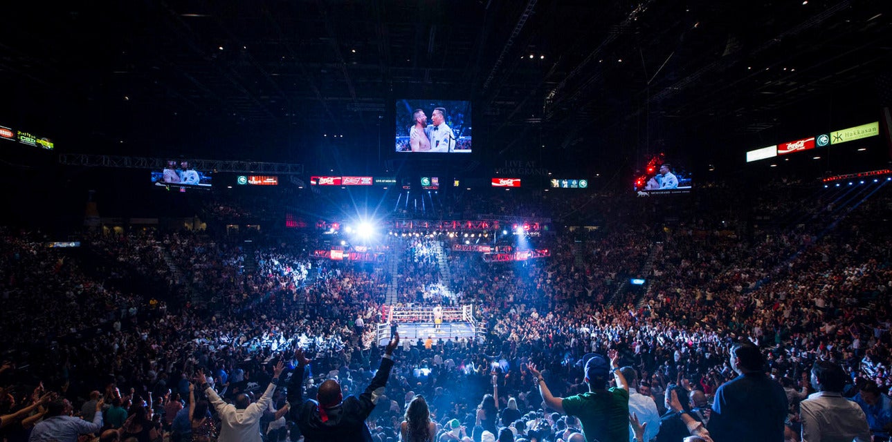 Cheap Floyd Mayweather vs Logan Paul Tickets Gametime