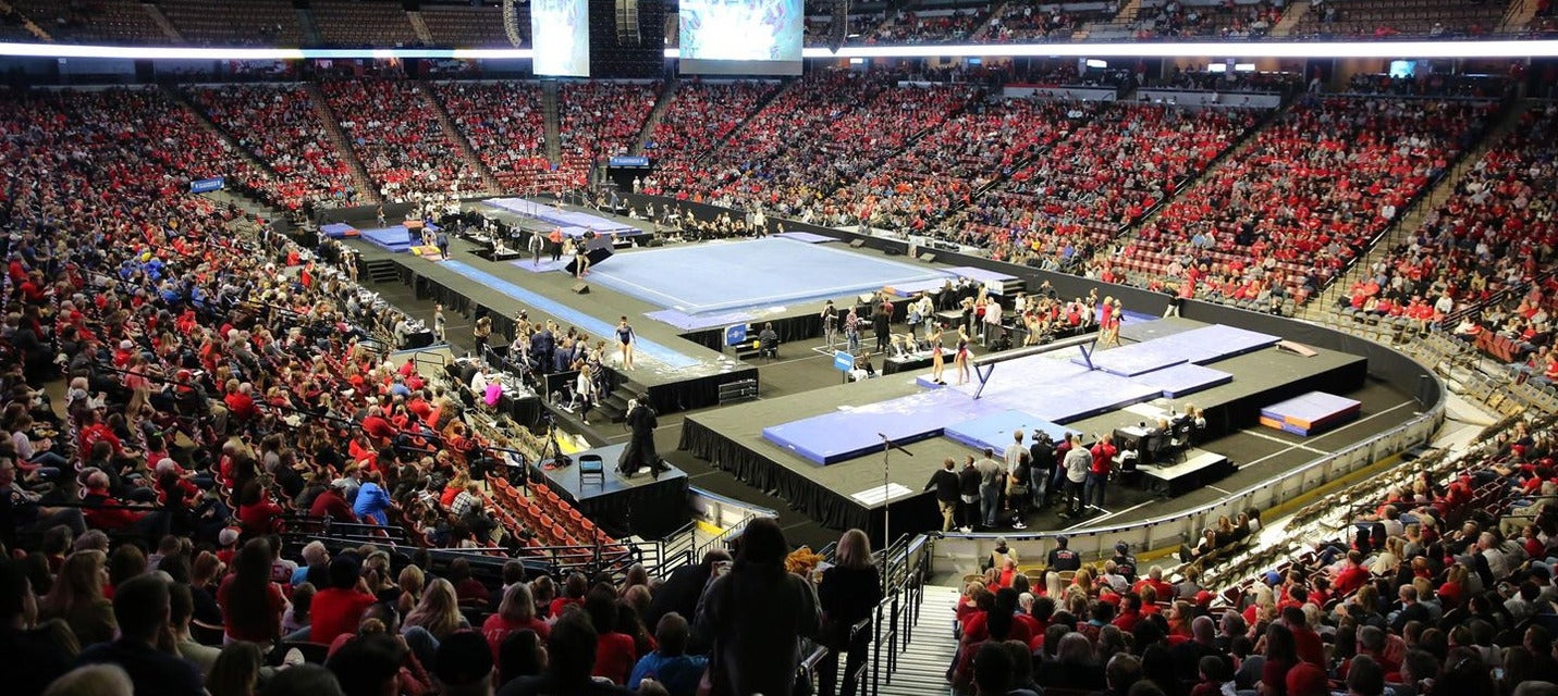 Cheap SEC Gymnastics Championship Tickets Gametime