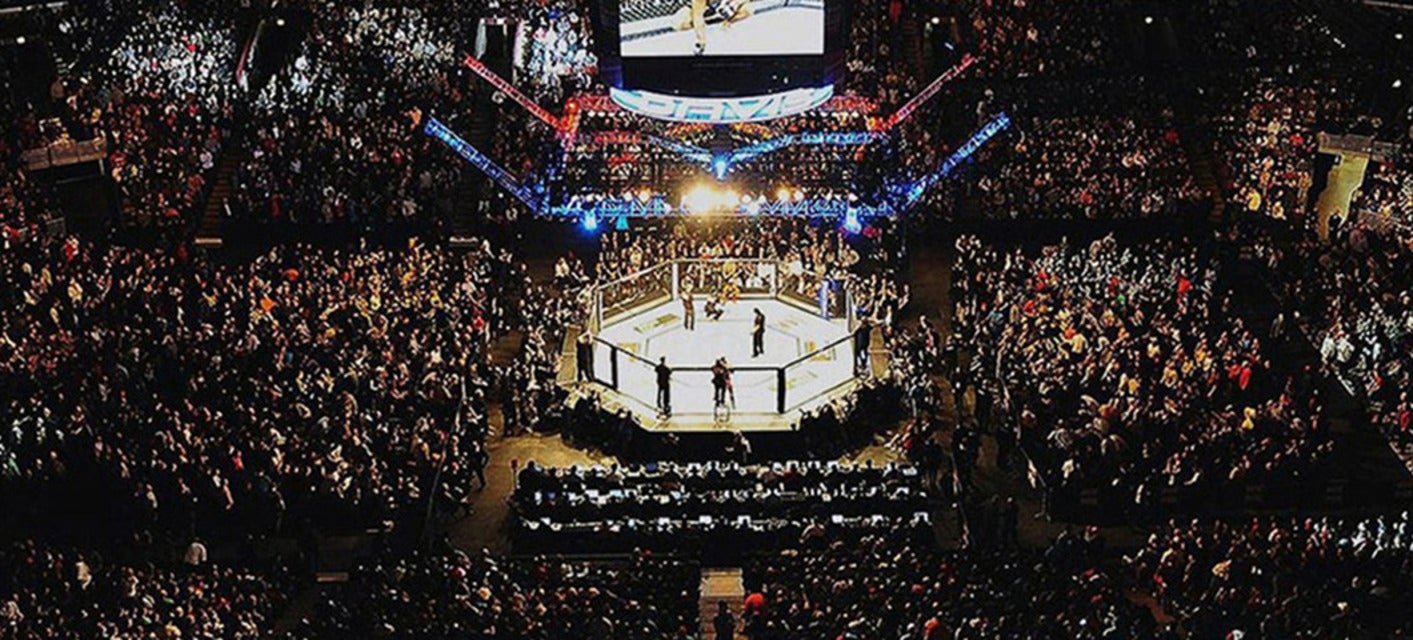 Cheap UFC 297 Tickets Gametime