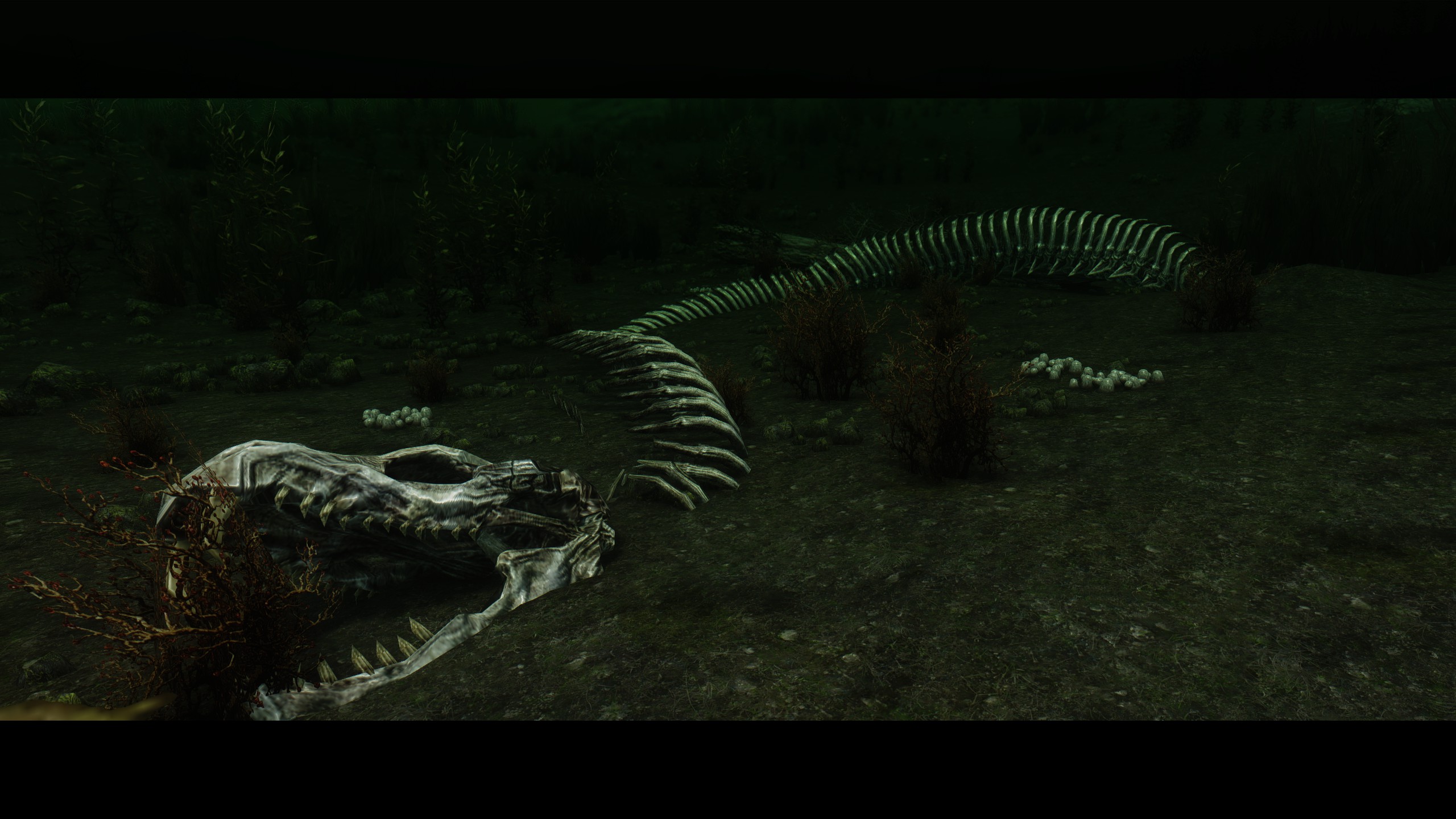 Depths of Skyrim An Underwater Overhaul Mod The GameWatcher