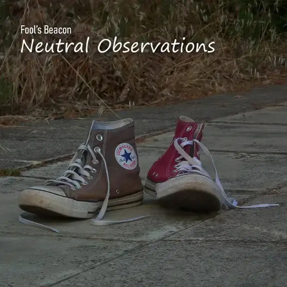 Fool's Beacon Lyrics, Songs, and Albums Genius