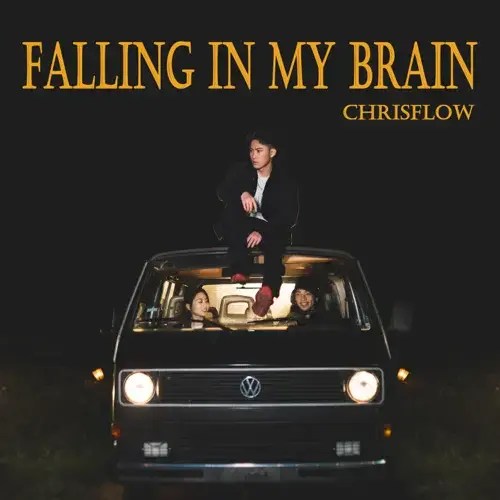 ChrisFlow唐仲彣 Falling in My Brain Lyrics Genius Lyrics