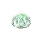 Knospende Tausendfache Blütenblätter (Blüte)
