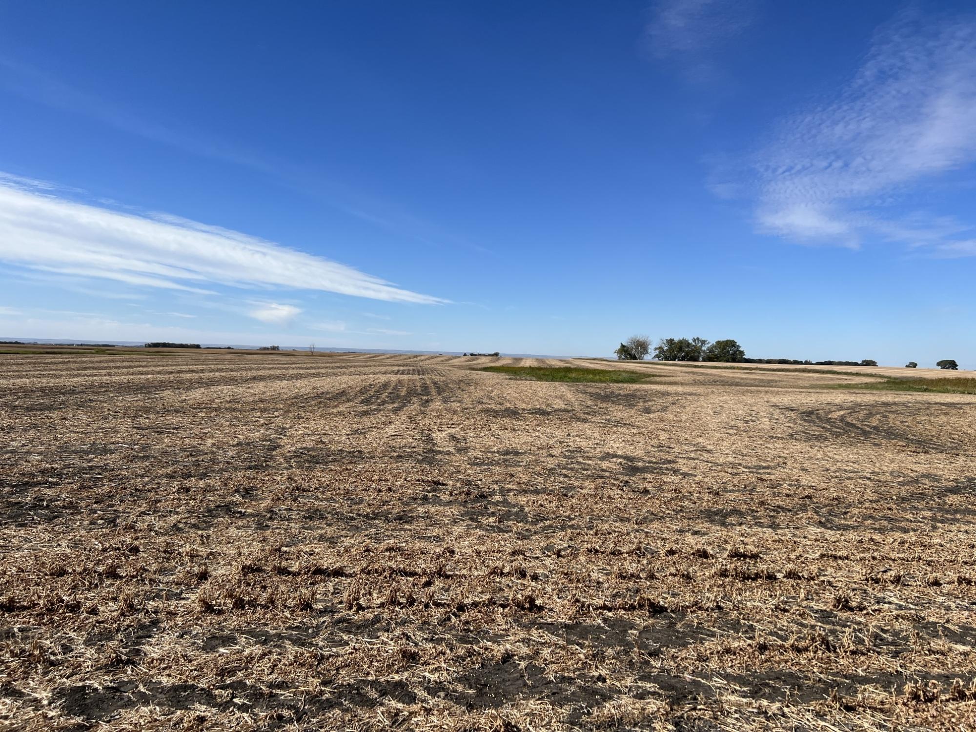 BIG STONE COUNTY FARM LAND AUCTION