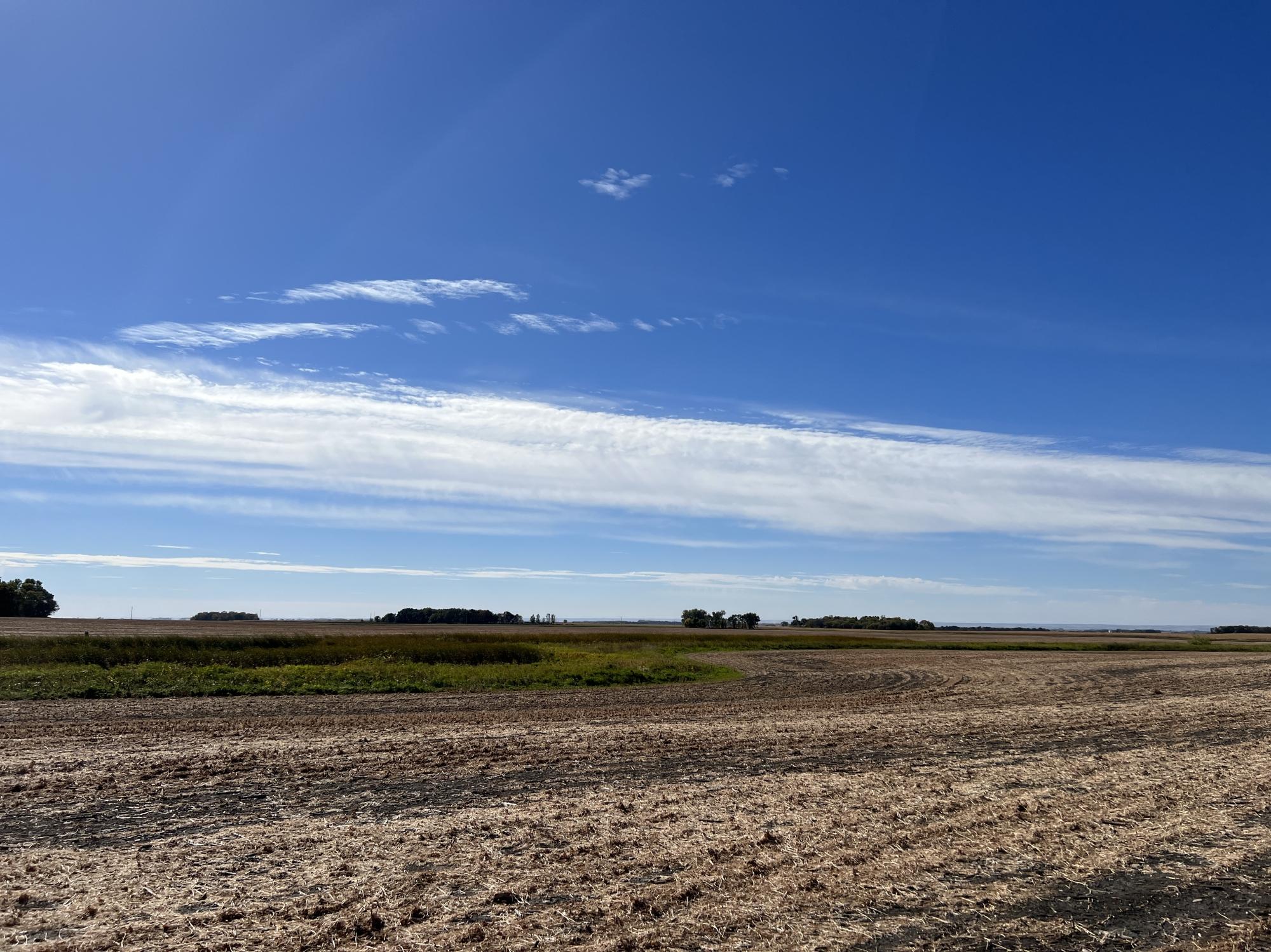 BIG STONE COUNTY FARM LAND AUCTION