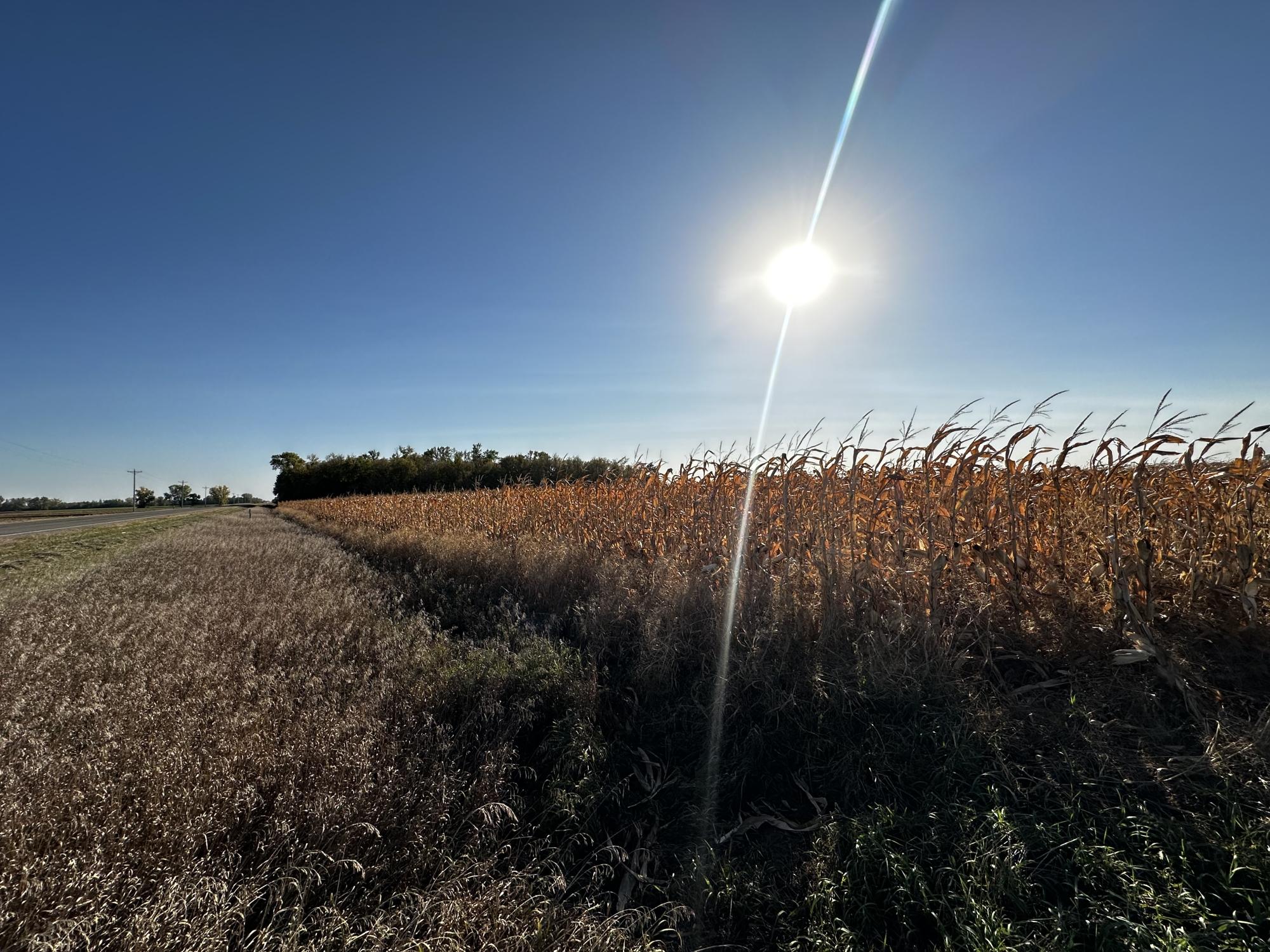 Stearns County Fuchs Family Farm Land Auction