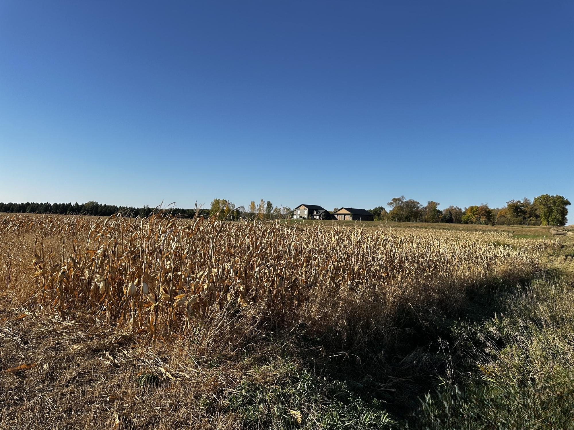 Stearns County Fuchs Family Farm Land Auction